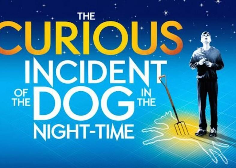 The Curious Incident of the Dog in the Night-Time – West End Curious Incident of the Dog in the NightTime