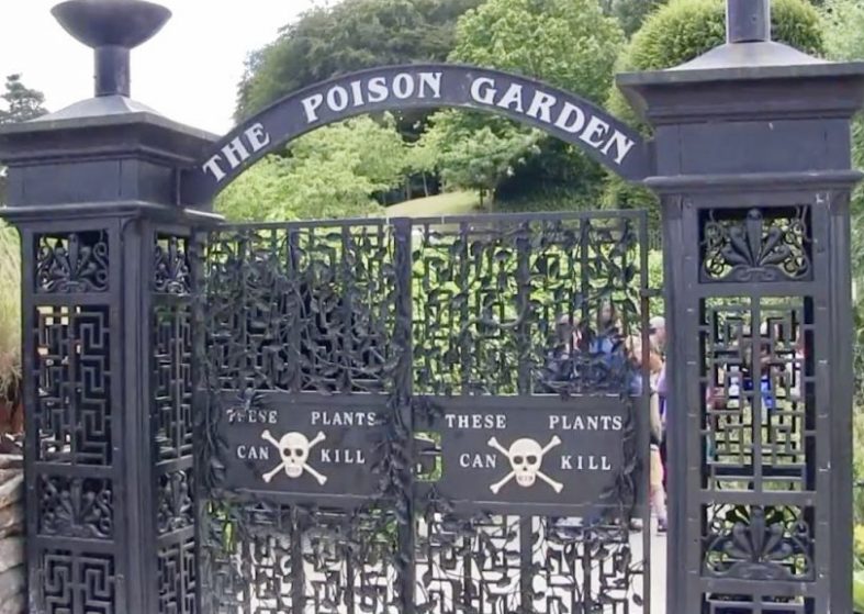 Poison Garden in North England – plants are lethal The Poison Garden of Hogwarts
