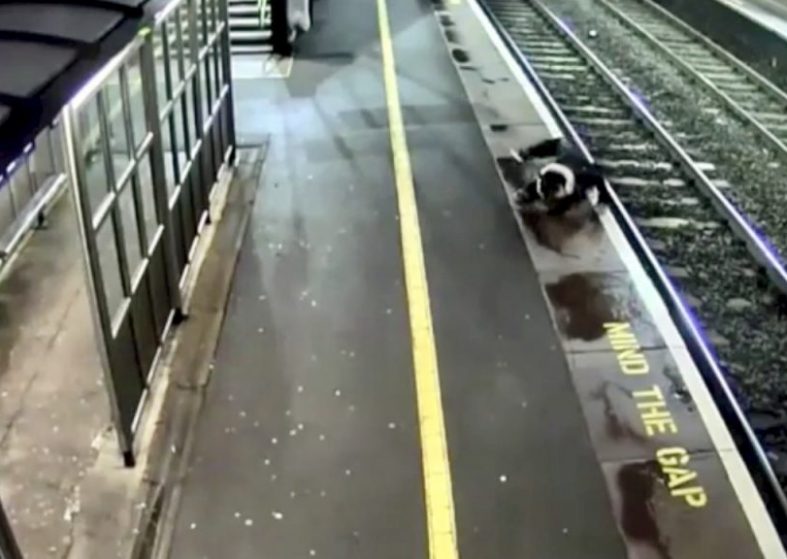 Rail Risks Reach 10-year-high – one every hour places life in danger Rail risks reach 10-year-high