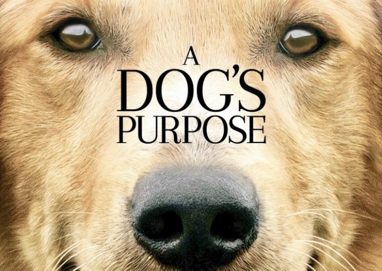 A Dog’s Purpose trailer – May 5 – this will tug at your heart❤️ A Dog's Purpose trailer