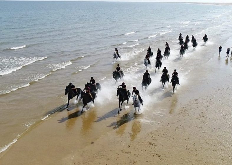 Household Cavalry Go To The Beach – great majestic scenes on the sand and in the water Household Cavalry Go To The Beach