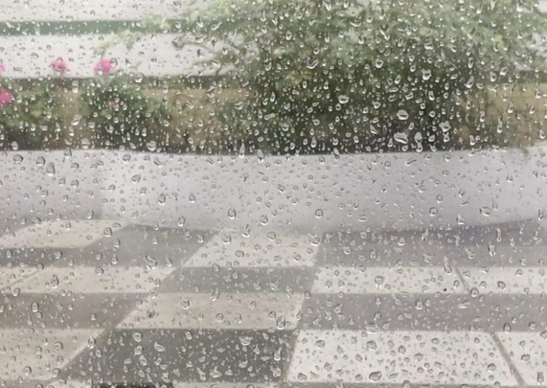 Rain and More Rain – it just won’t go away – will we get some hot weather? Rain and More Rain