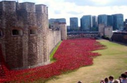WWI Bloodswept Lands