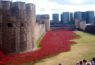 WWI Bloodswept Lands