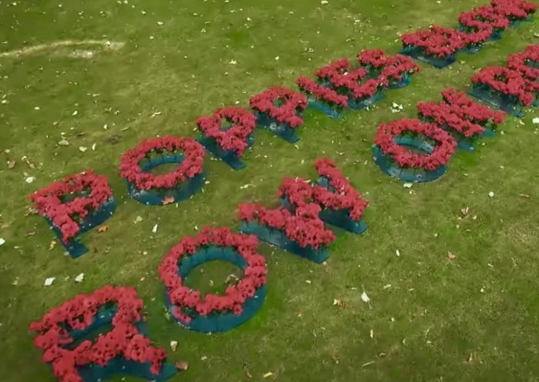 In Flanders Field – modern take on 2017 Poppy Appeal In Flanders Field