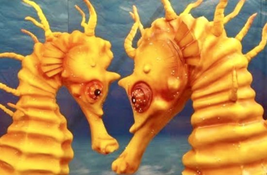 Seahorse Cake Highlights Dangers of Sea Pollution