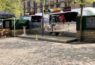 Glasgow: From Street Crime to Street Food