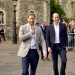 Royal Brothers Meet Windsor Crowd