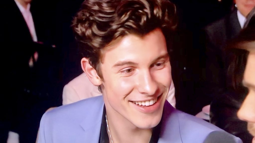 Shawn Mendes Embarrassed at BRIT Awards 2019