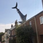 Shark Hooked On Roof