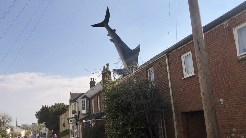 Shark Stays Hooked On Roof