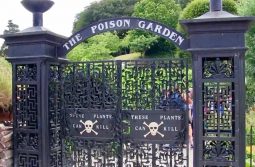 Poison Garden in North England