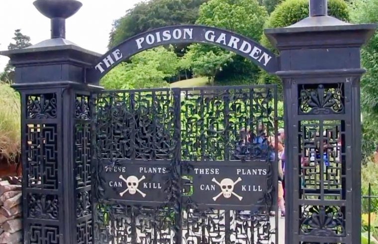 Poison Garden in North England