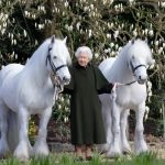 Queen marks 96th birthday with new photo
