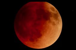 Total Lunar Eclipse - NASA Science