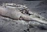Titanic: scans reveal wreck as never seen before