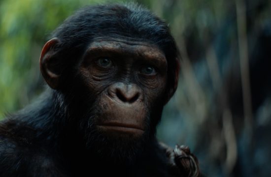 Kingdom of the Planet of the Apes - trailer
