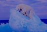 Polar Bear sleeping on an iceberg wins photo award