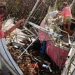 Hurricane Beryl: Carnage in Carriacou mangroves