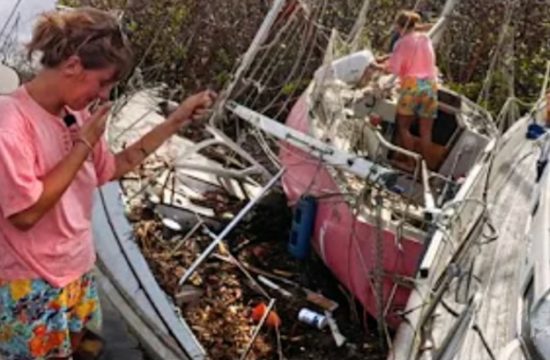 Hurricane Beryl: Carnage in Carriacou mangroves