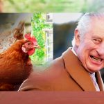 King Adopts One Millionth Hen