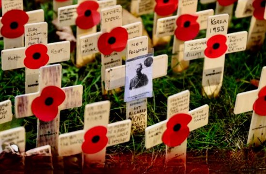 Live: Opening of British Legion's Field of Remembrance