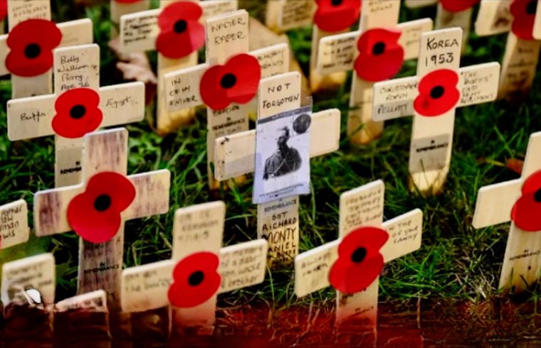 Live: Opening of British Legion's Field of Remembrance