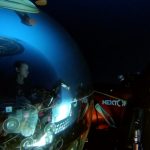 Ocean Mission - over 800 newly discovered marine species