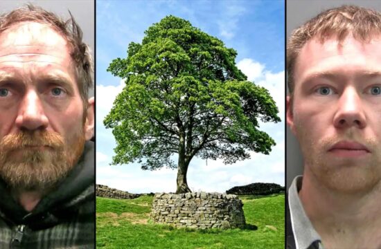 Jail for Sycamore Gap pair guilty of felling famous tree