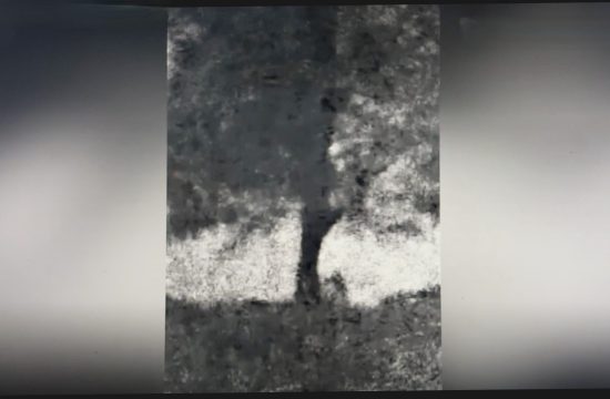 Video shows felling of Sycamore Gap tree