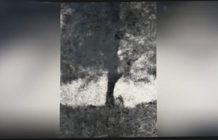 Video shows felling of Sycamore Gap tree