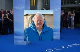 Live: Red carpet for 'Ocean with David Attenborough' premiere