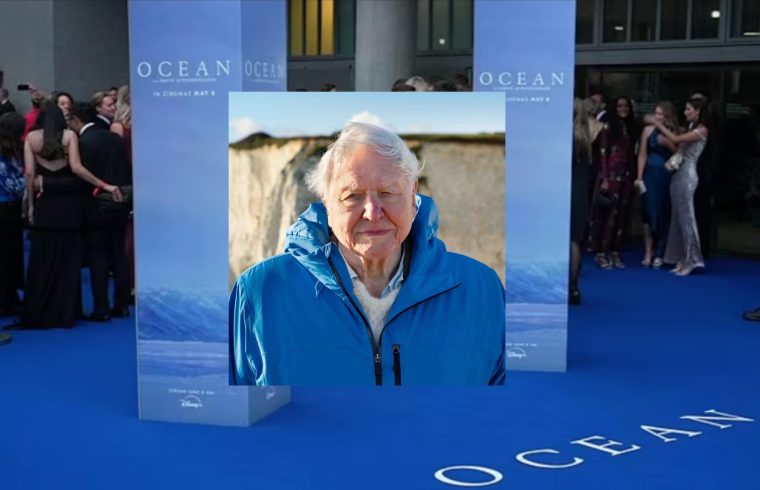 Live: Red carpet for 'Ocean with David Attenborough' premiere