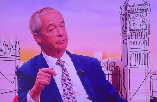 Nigel Farage: Some Councils need more experts