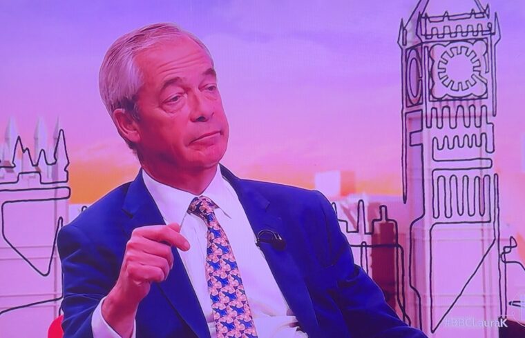 Nigel Farage: Some Councils need more experts