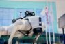 Robot Police Dog on trial for UK