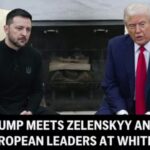 Live: Trump meets Zelenskyy and European Leaders at White House