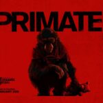 Primate - trailer