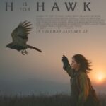 hawk the movie
