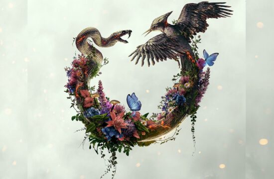 The Hunger Games - Sunrise on the Reaping