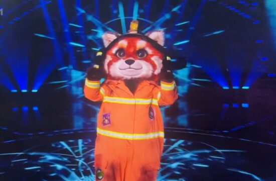 See Who Was Unmasked Tonight!