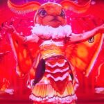 the mask and costume looked superb