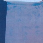 t-shirt with Quinn's DNA