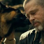 Dog and Brad - partners