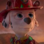 Carter Young - Paw Patrol