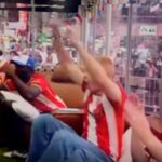 World Cup Chief Watchers savour dream job