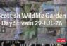 LIVE - Bird Feeder and Wildlife Camera Scotland UK