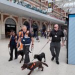 Paws on patrol at Waterloo Station