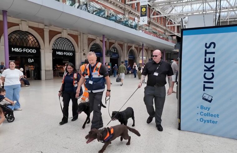 Paws on patrol at Waterloo Station