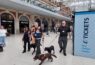 Paws on patrol at Waterloo Station